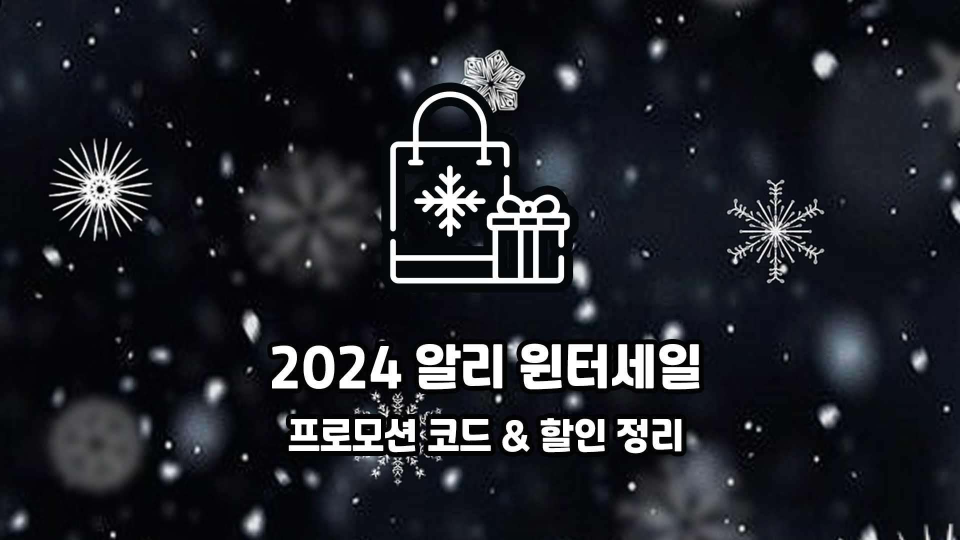 알리 윈터세일 2024년