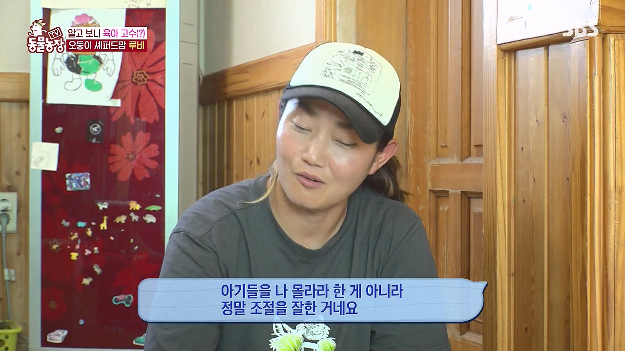 TV 동물농장.E1176.240617p-NEXT.mp4_20240616_171023.107.jpg