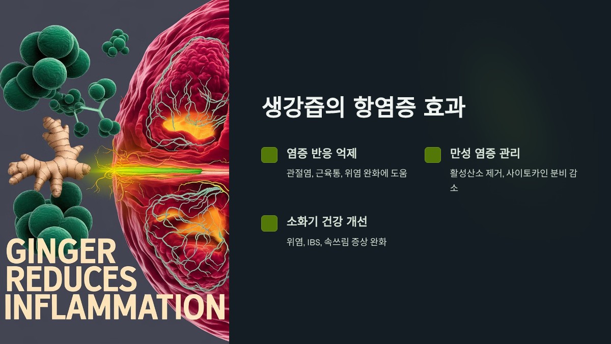생강즙 항염증 효과