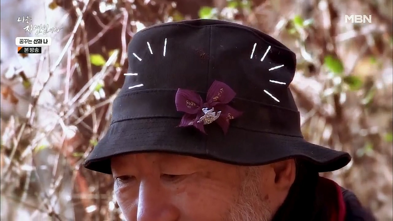 나는 자연인이다.E534.221229p.H264-F1RST.mp4_20221229_200020.488.jpg