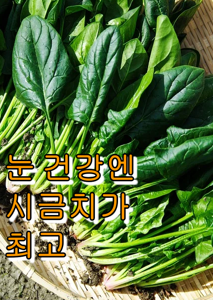 시금치