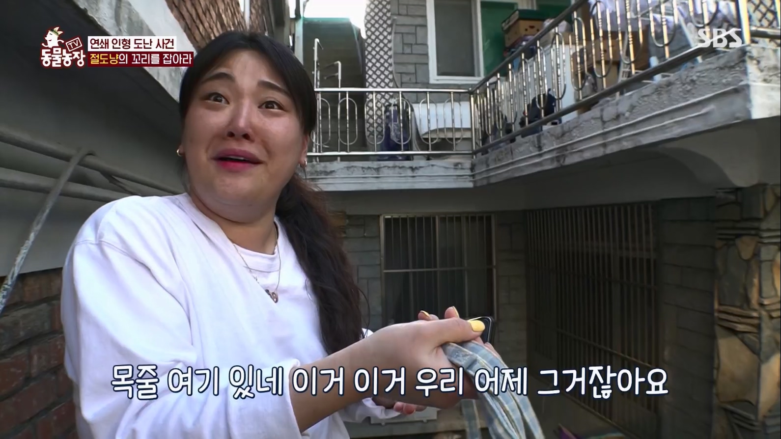 TV 동물농장.E1127.230702p.H264-F1RST.mp4_20230704_212705.919.jpg