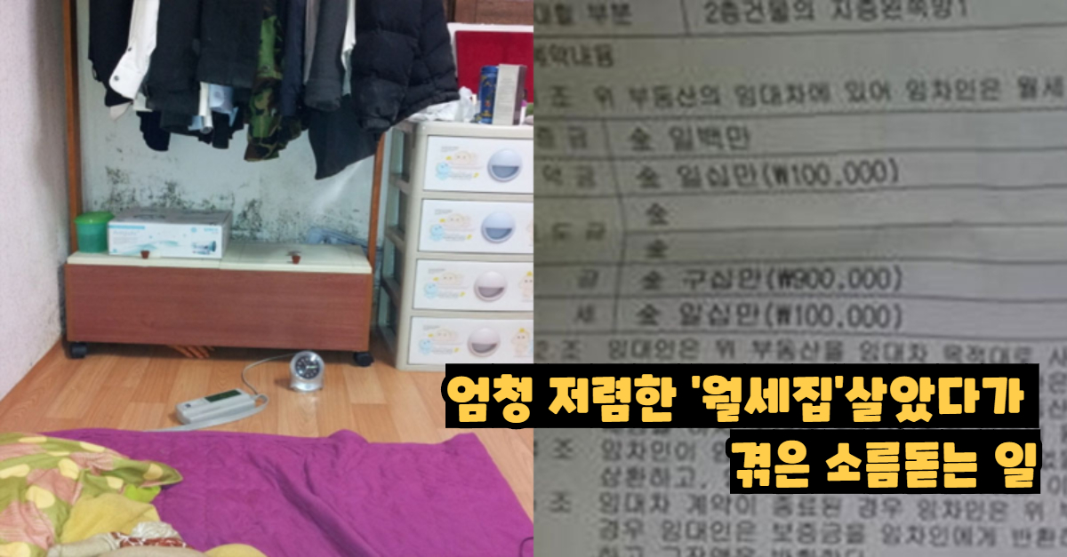  엄청 저렴한 '월세집'살았다가 겪은 소름돋는 일
