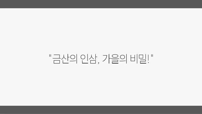 인삼의 역사와 축제가 흐르는 금산의 가을