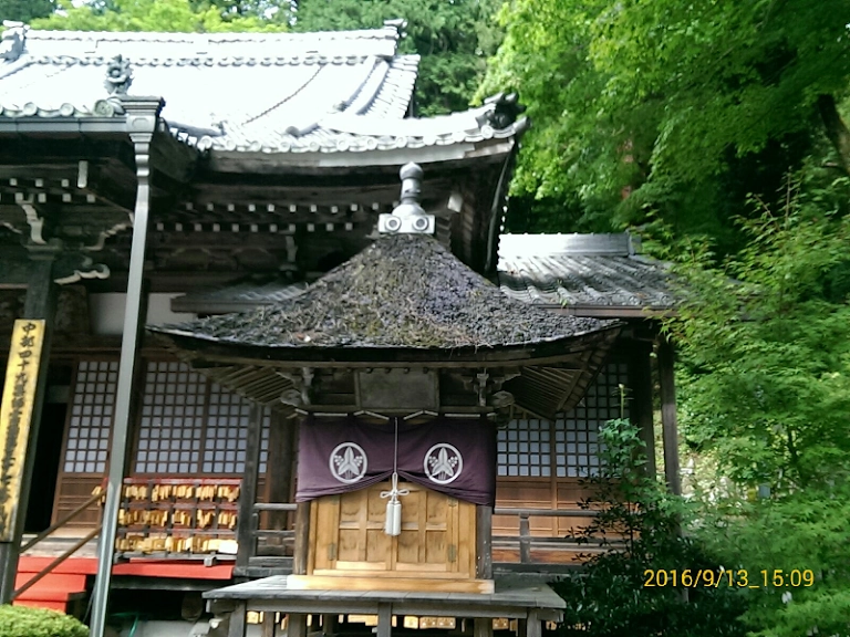 카메라 날짜 시간 어플 타임스탬프 앱 - 5. 자동 타임 스탬프(DateCamera) 어플 소개 - 2) 자동 타임 스탬프(DateCamera) 어플 다운로드 / 스크린샷 카메라 날짜 시간 어플 타임스탬프 앱 - 5. 자동 타임 스탬프(DateCamera) 어플 소개 - 2) 자동 타임 스탬프(DateCamera) 어플 다운로드 / 스크린샷