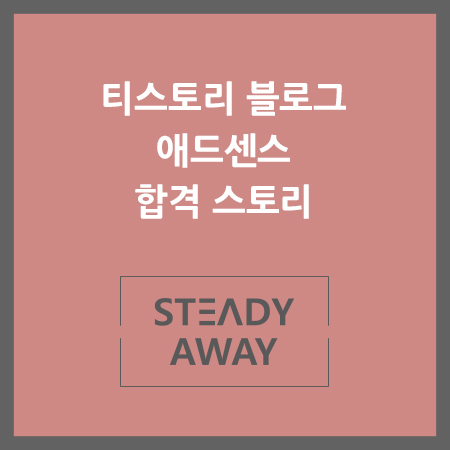  [티스토리] 블로그 운영 56일차 애드센스 고시 합격 STORY