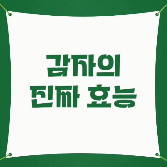 감자의 효능