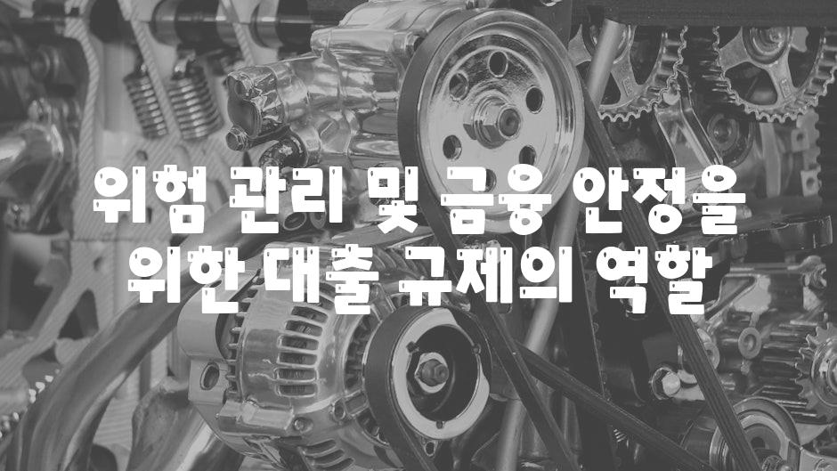 위험 관리 및 금융 안정을 위한 대출 규제의 역할