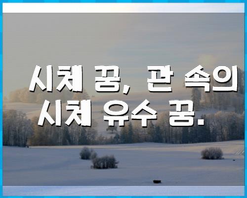 시체 꿈, 관 속의 시체 유수 1