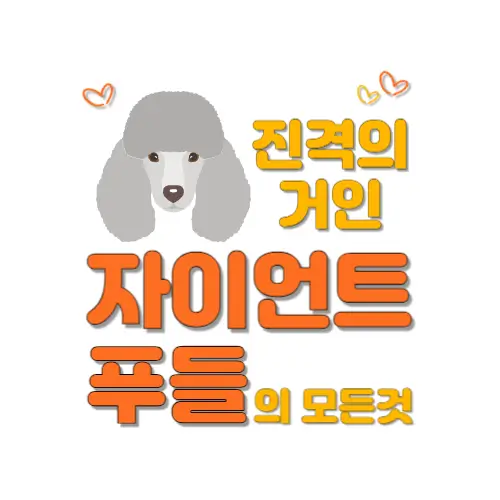 자이언트 푸들 썸네일