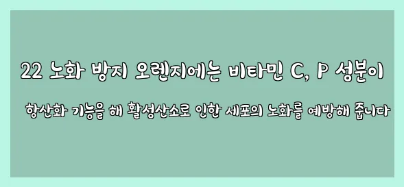  22 노화 방지 오렌지에는 비타민 C, P 성분이 항산화 기능을 해 활성산소로 인한 세포의 노화를 예방해 줍니다