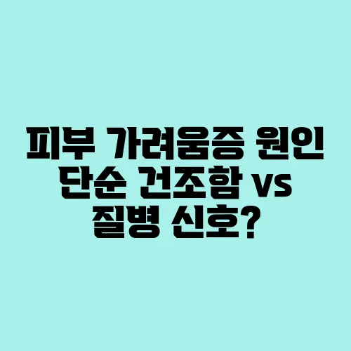 피부 가려움증 원인 단순 건조함 vs 질병 신호?
