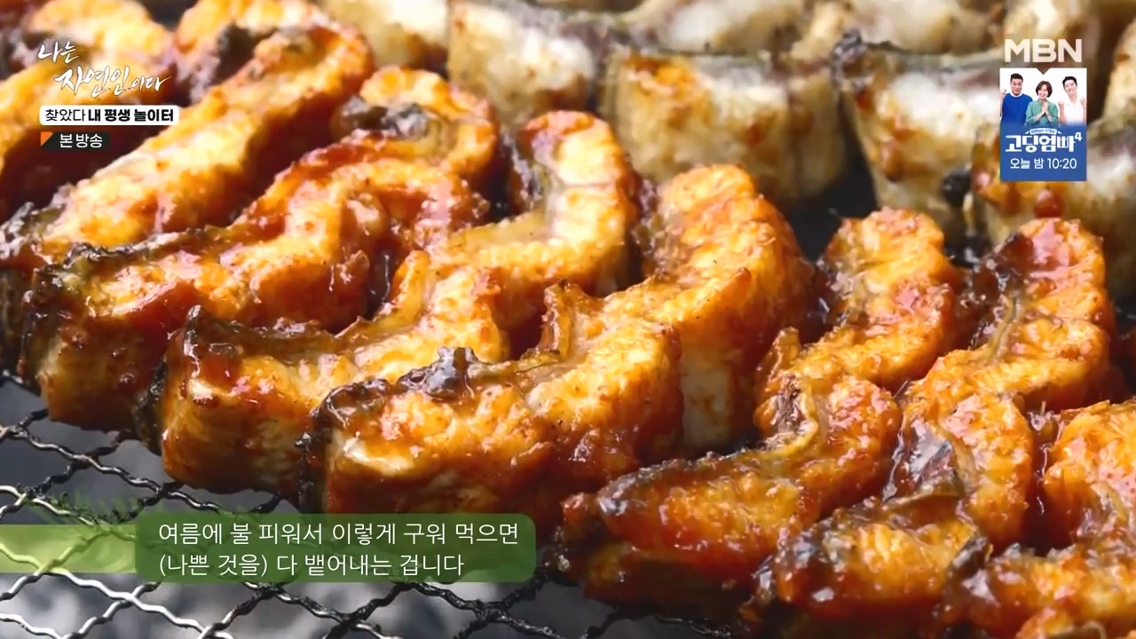 나는 자연인이다.E569.230831p-NEXT.mp4_20230831_201802.159.jpg