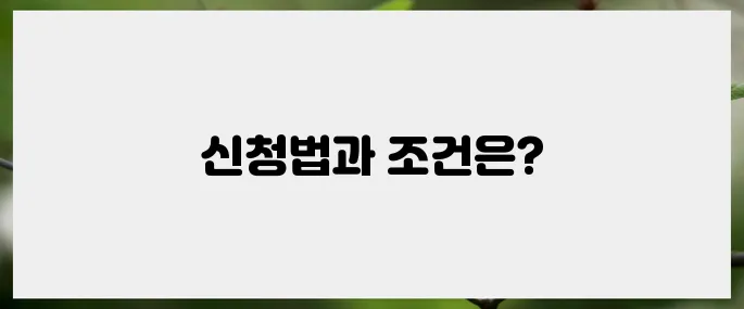 신청방법, 조건, 수급기간: 내 실업급여 완벽 가이드
