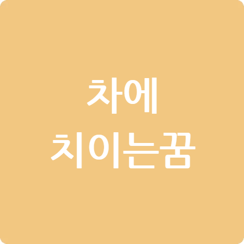 차에 치이는 꿈
