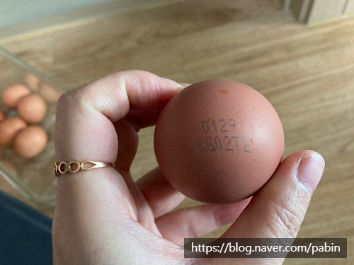 동물복지농장 내돈내산) 농장에서 바로 4