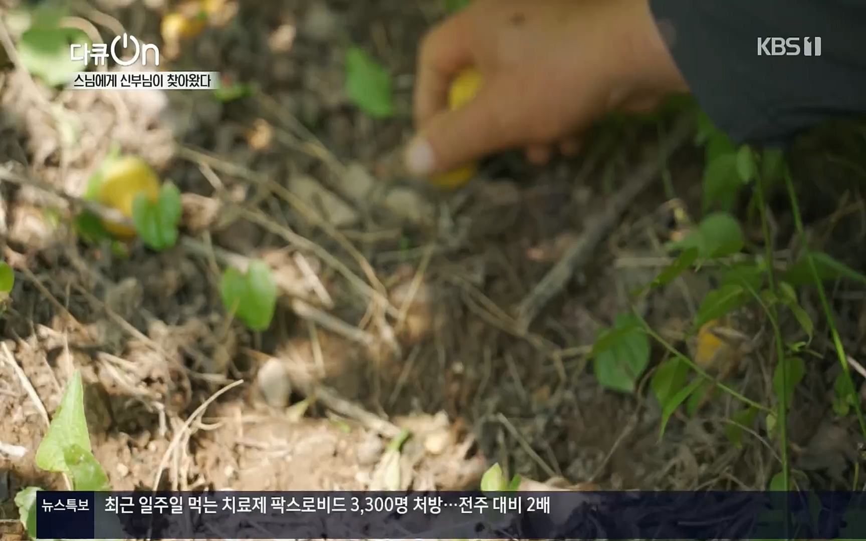 다큐 On.E148.220715p.H264-F1RST.mp4_20220717_131425.997.jpg