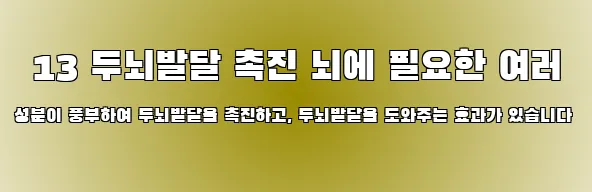 13 두뇌발달 촉진 뇌에 필요한 여러 성분이 풍부하여 두뇌발달을 촉진하고, 두뇌발달을 도와주는 효과가 있습니다