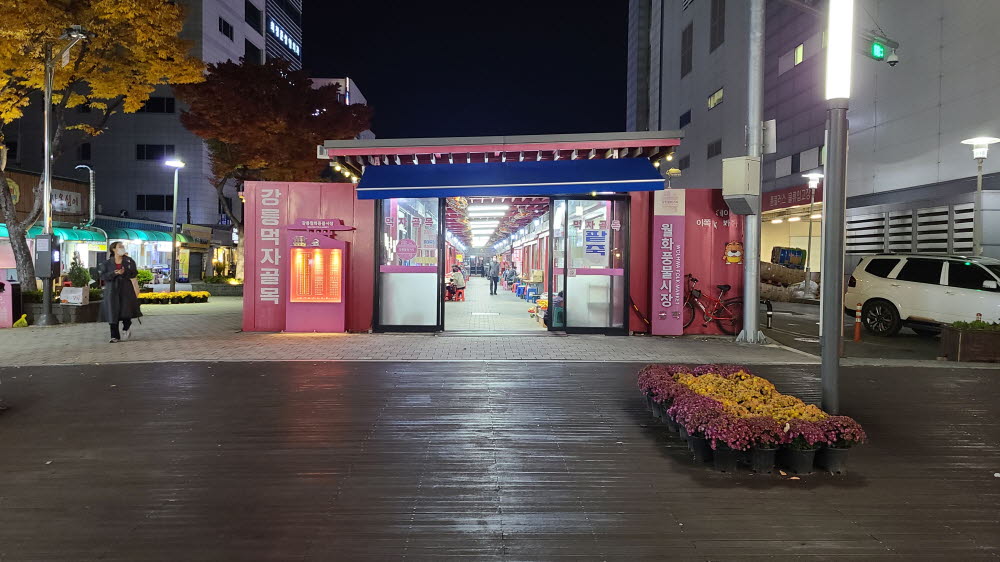 강릉 월화거리 중앙시장 배니닭강정 모자호떡 메밀전 먹거리 투어