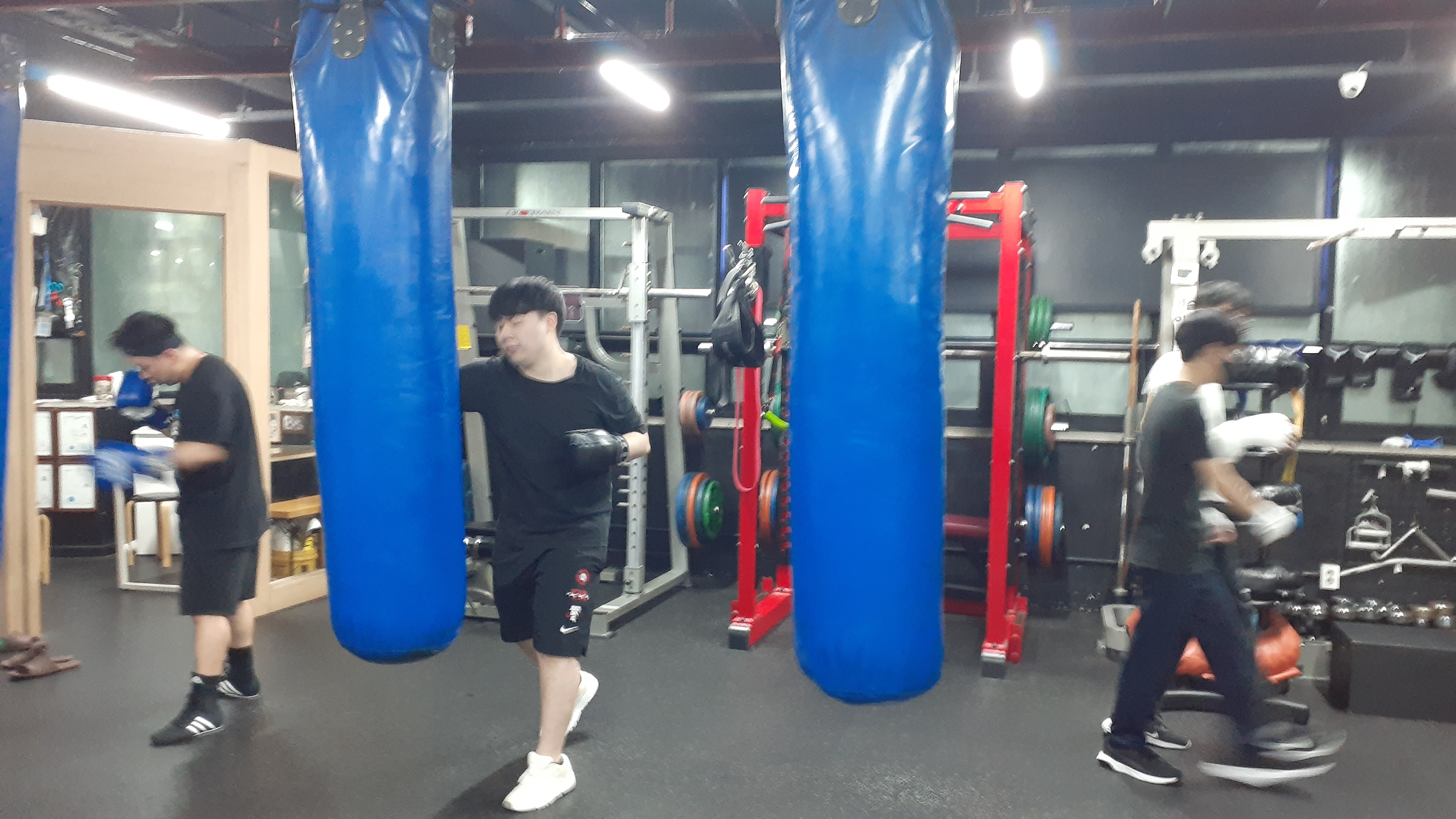 27. 3. 23. 양천구 복싱 대한복싱체육관 신정동 복싱 목동 복싱 신월동 복싱 경찰 무도 자격증 62