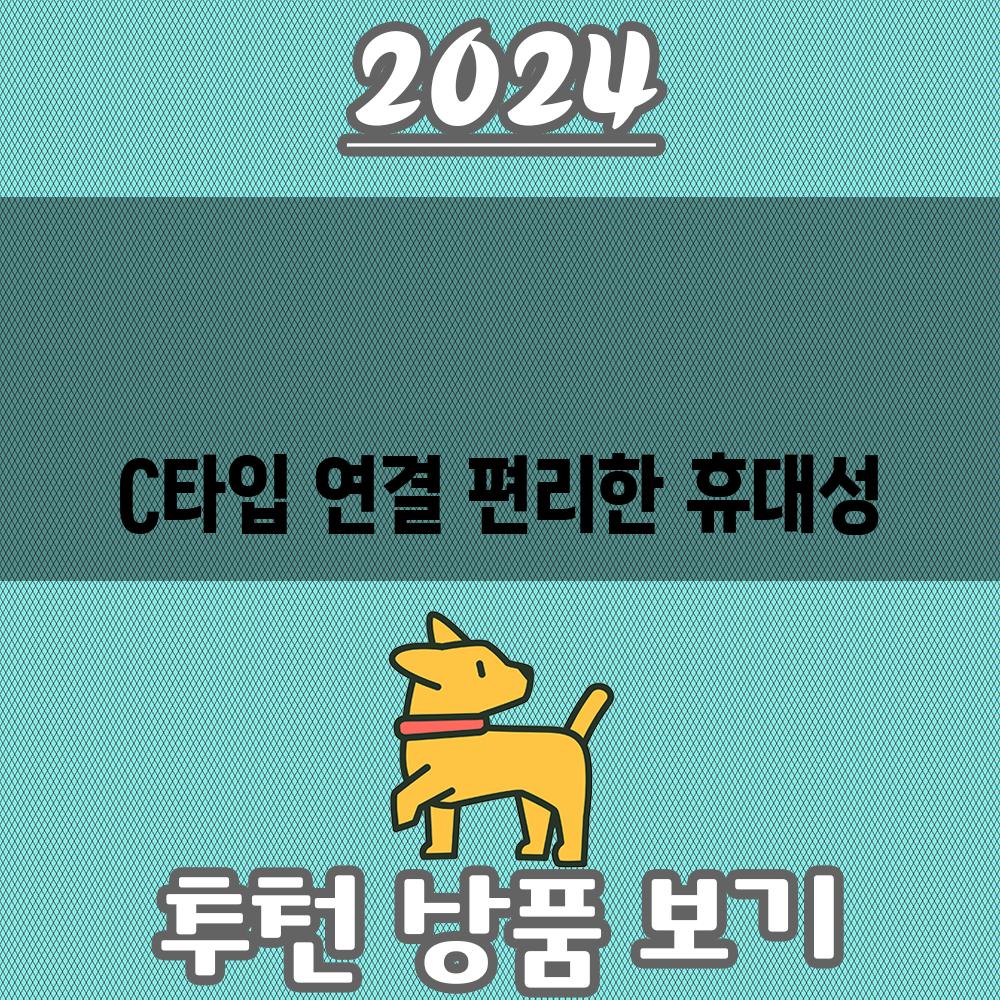 C타입 연결 편리한 휴대성