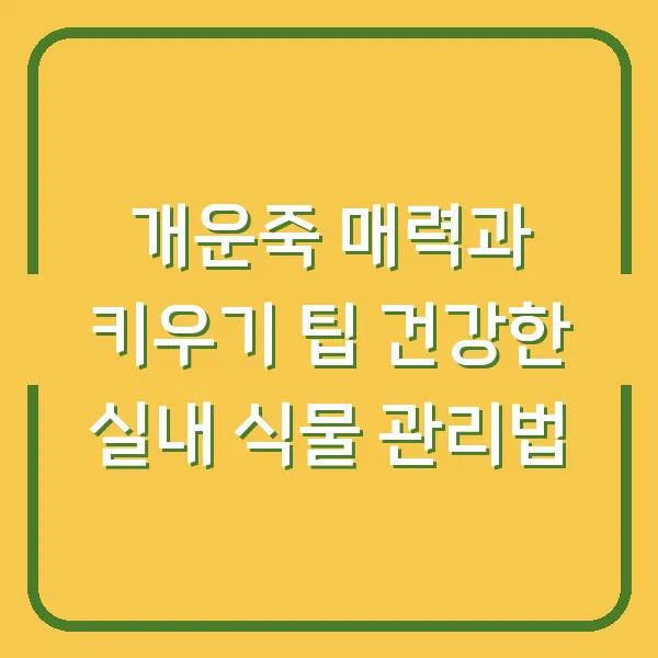 개운죽 매력과 키우기 팁 건강한 실내 식물 관리법