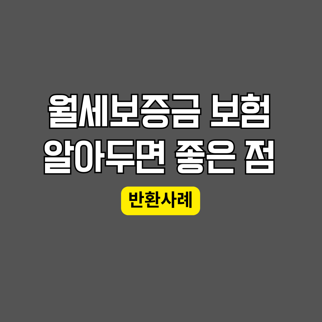 월세보증금 보험