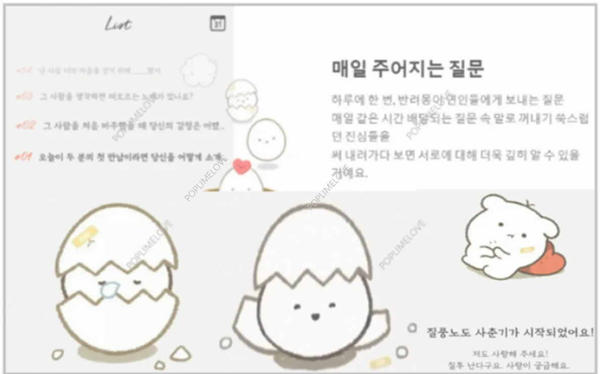 반려몽 키우기