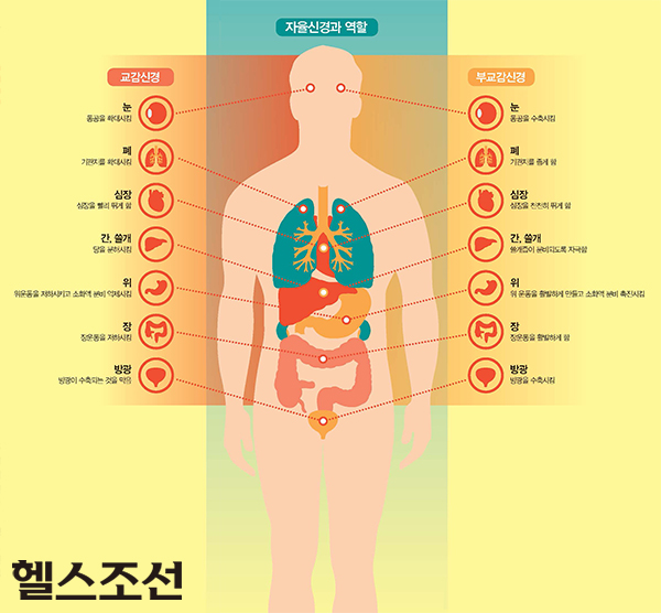 교감신경계 과잉증