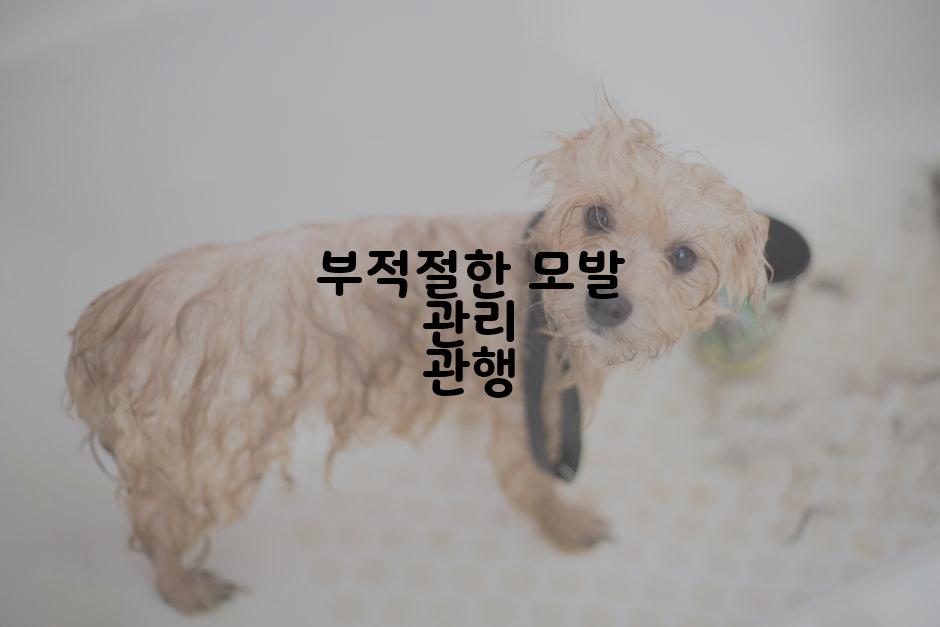 부적절한 모발 관리 관행