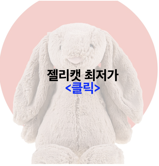 돌 출산 백일 아기 집방문 집들이 선물 추천 - 젤리캣