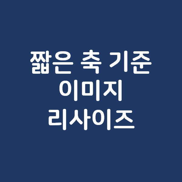 [Python] 파이썬 이미지를 짧은 축 기준으로 리사이즈 하기