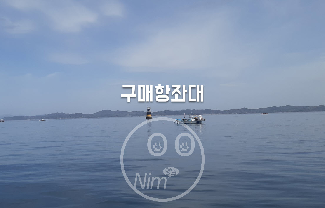 매입항 안면도항항항펜션 밤볼락낚시 1