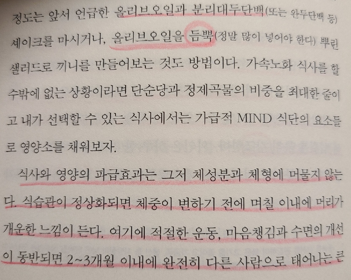 식단에 대한 부분