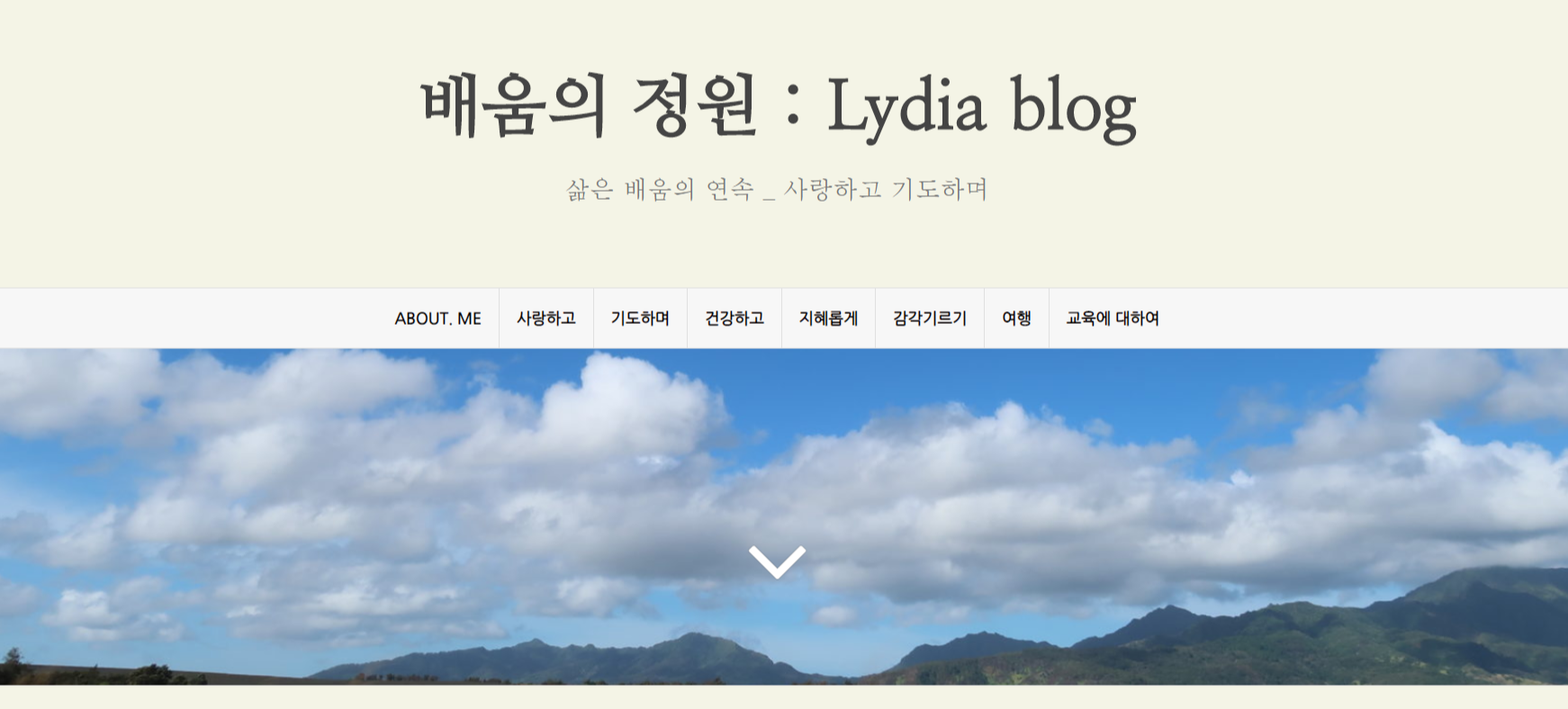  워드프레스의 실패, 티스토리로 컴백