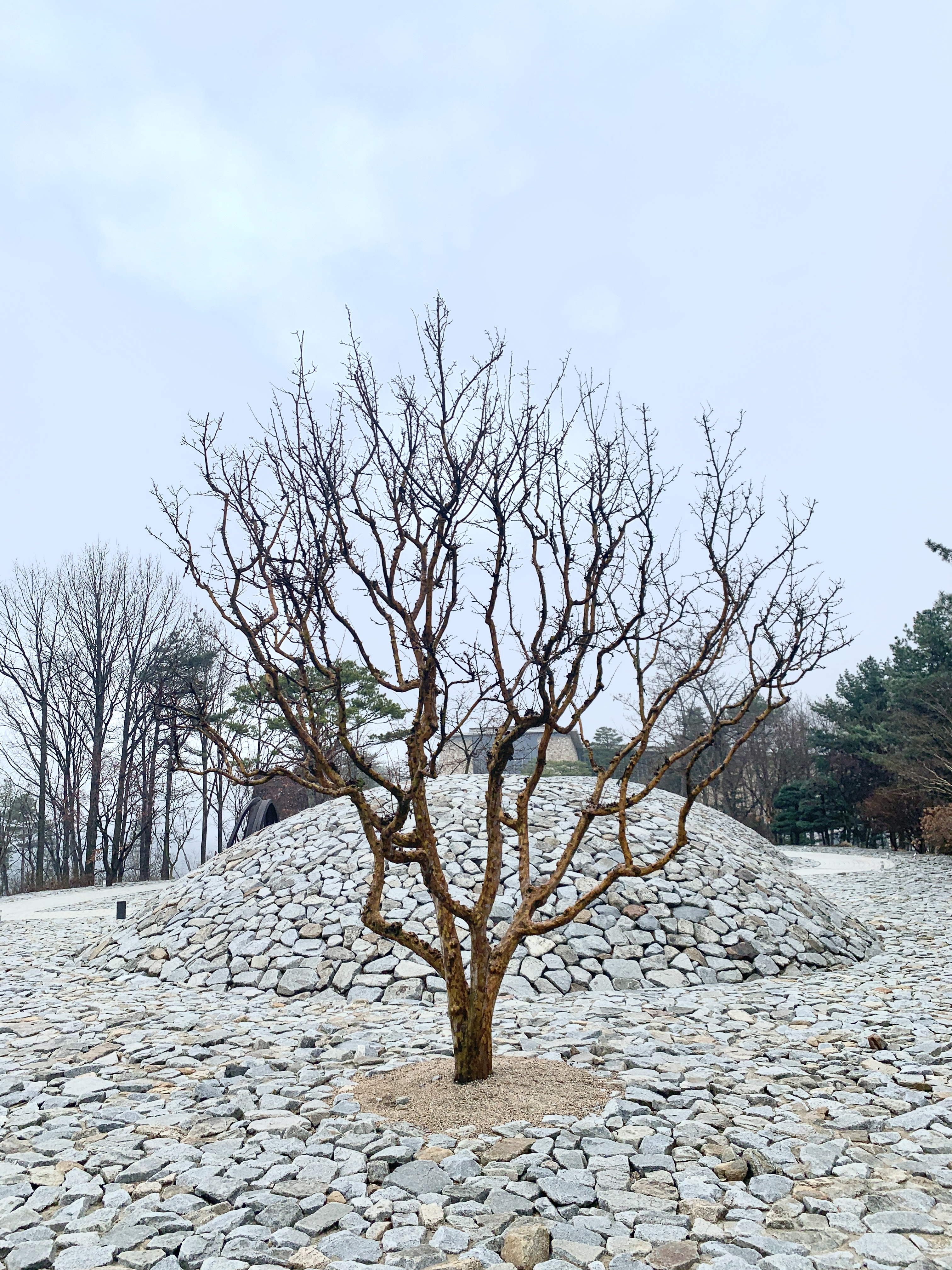 원주 뮤지엄 산 - 스톤가든