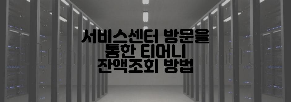 서비스센터 방문을 통한 티머니 잔액조회 방법