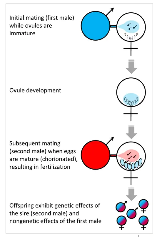 Revisiting telegony: offspring inherit an acquired characteristic of their mother&#39;s previous mate