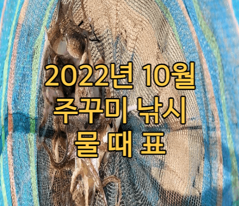  2022년 10월 주꾸미 낚시 물때