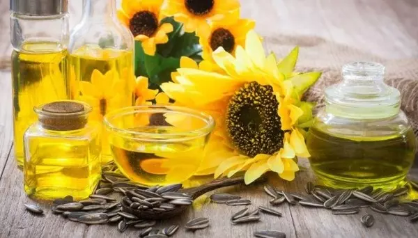해바라기 씨(sunflower seed)