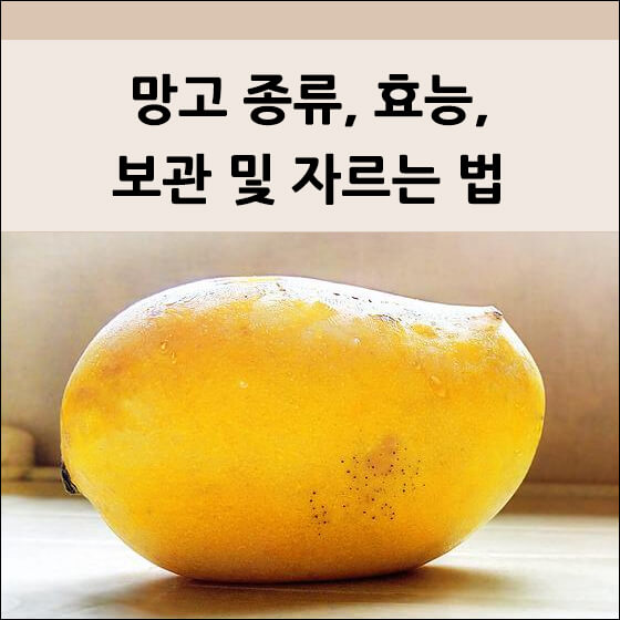 노란 망고 하나