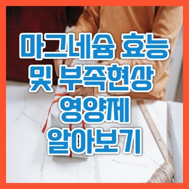  마그네슘 효능 및 부족현상 영양제 알아보기