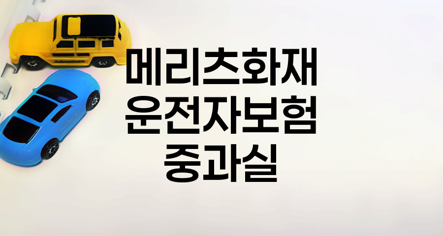 메리츠화재 운전자보험의 12대 중과실 보장 범위와 특징