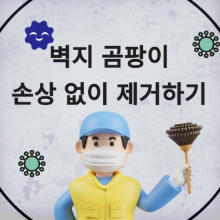 벽지 곰팡이 손상 없이 제거하기