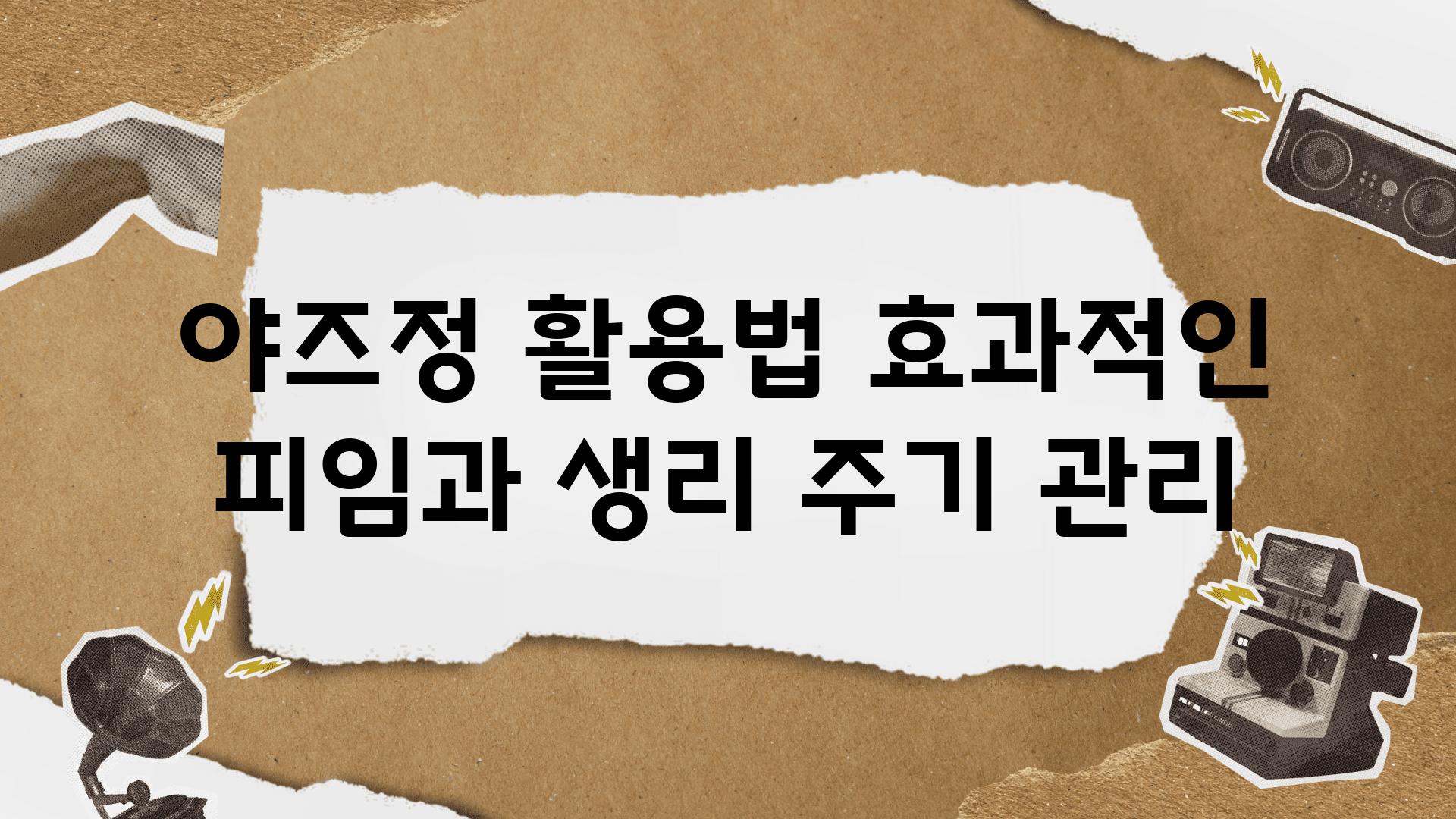 야즈정 활용법 효과적인 피임과 생리 주기 관리