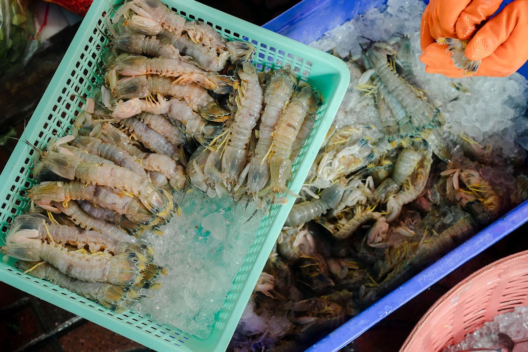 Shrimp
