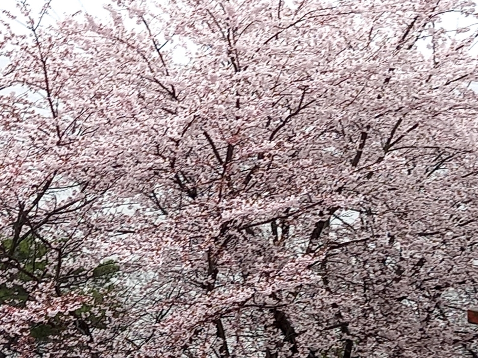 img.jpg