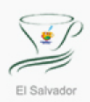  2019 El Salvador C.O.E Auction Samples 공개커핑후기 (In 커피몽타주 더 스태디움)