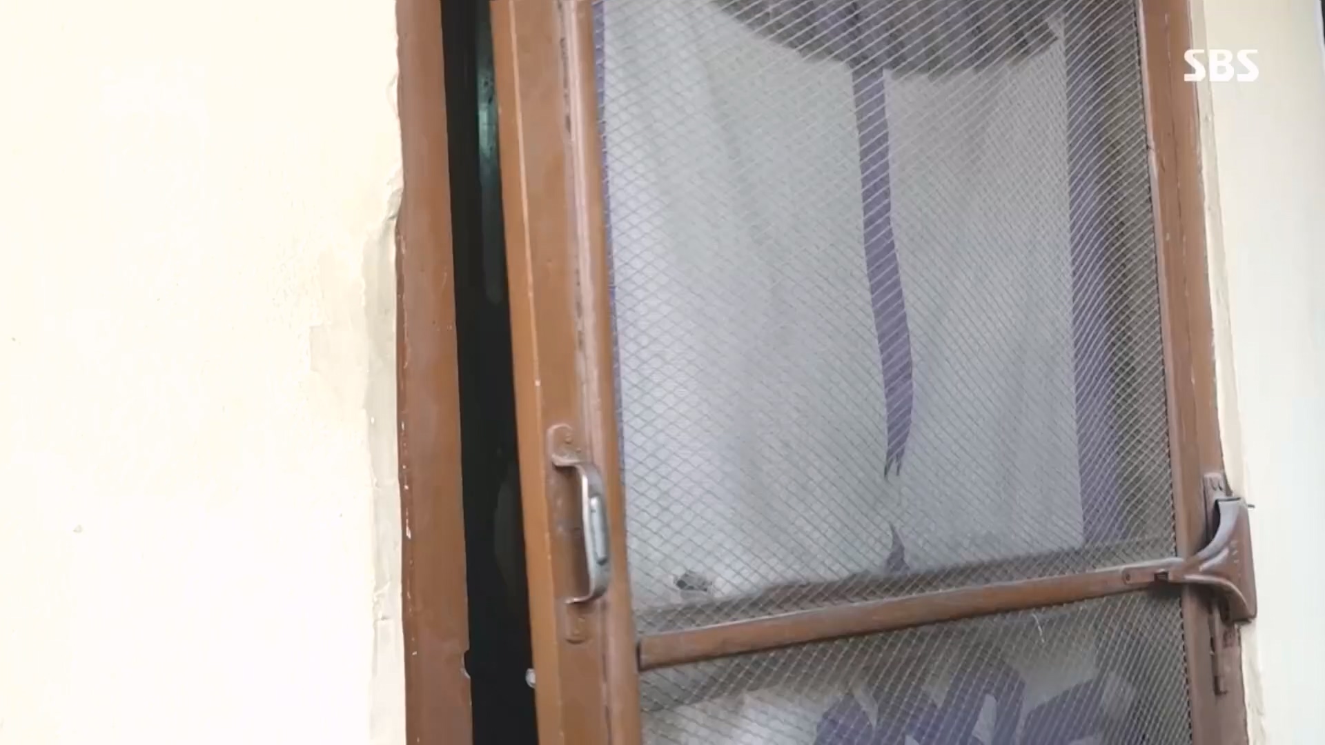 일요 특선 다큐멘터리.E334.231231p.H264-F1RST.mp4_20231231_152007.067.jpg