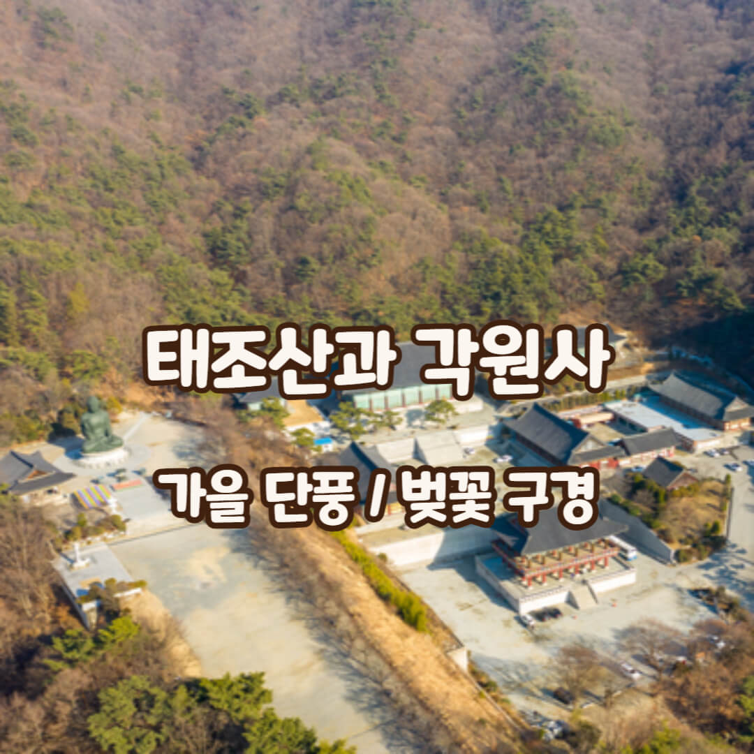 각원사-썸네일